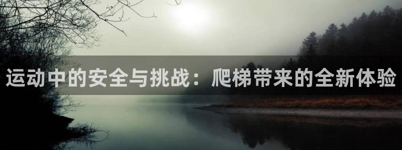 fb体育娱乐:运动中的安全与挑战:爬梯带来的全新体验