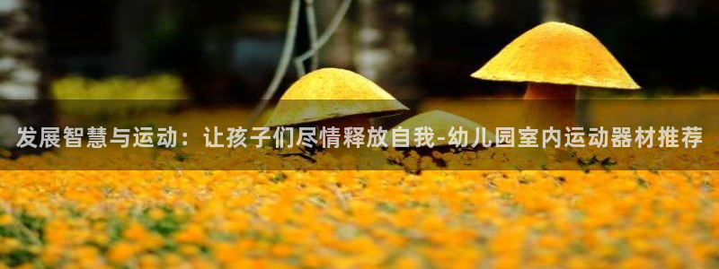 fb体育开户:发展智慧与运动:让孩子们尽情释放自我-幼儿园室