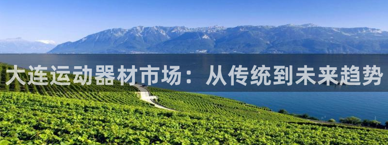 fb体育娱乐代理怎么样:大连运动器材市场:从传统到未来趋势